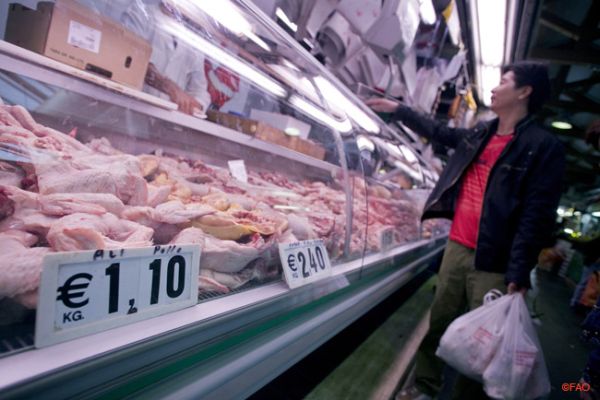 De la viande, mais à quel prix ?